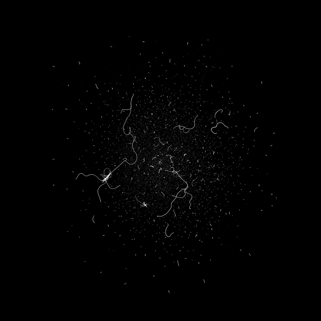 Fine sparse dust particles and curled white fibers scattered across a solid pure black background