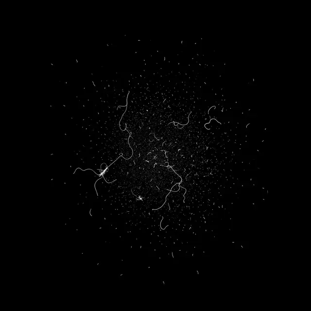 Fine sparse dust particles and curled white fibers scattered across a solid pure black background