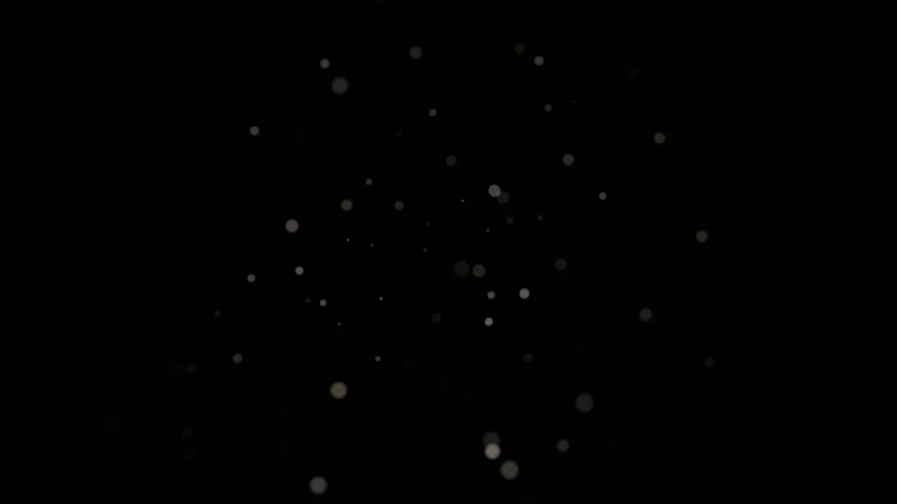 Sparsely scattered faint barely visible bokeh dots sit against a solid pure black background