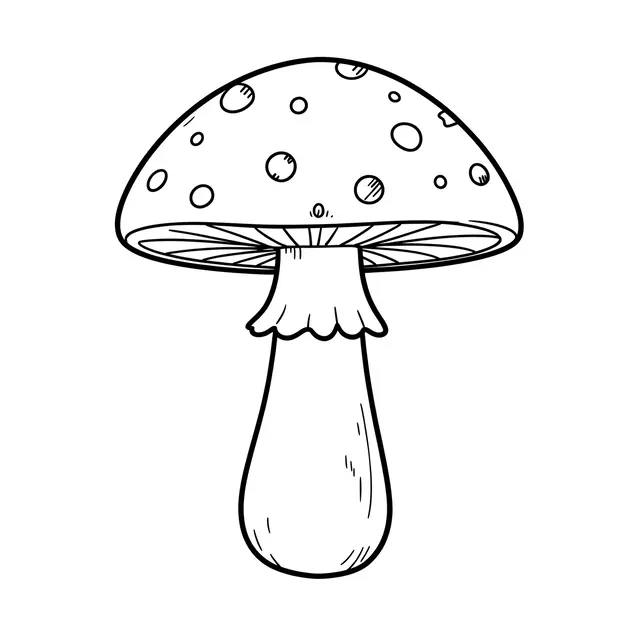 Simple black line illustration of a spotted domed mushroom on a plain white background