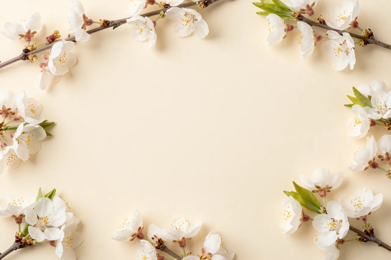 Top-down view of white spring blossom branches arranged in a border around empty cream copy space