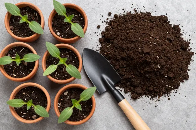 Top-down view of terracotta seedling pots, potting soil, and a gardening trowel on a gray surface