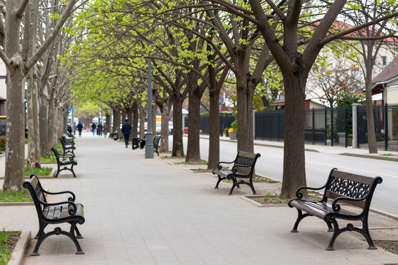 Central paved boulevard walk with wrought iron benches and budding spring trees stretching into the distance