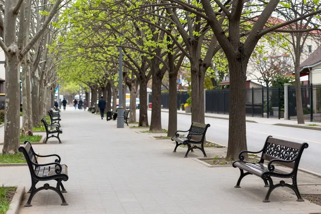 Central paved boulevard walk with wrought iron benches and budding spring trees stretching into the distance