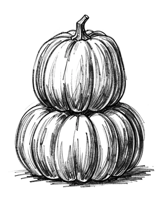 Expressive charcoal drawing of two stacked pumpkins on plain white paper