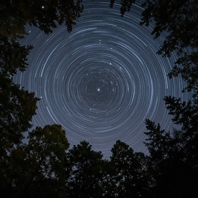 Circular star trails fill the night sky framed by a dark ring of treetops viewed from below