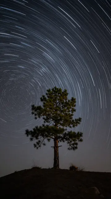 Spinning curved star trails arc across the night sky above a lone pine tree on a dark hilltop ridge