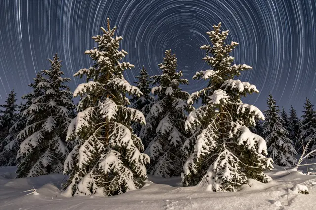 Concentric circular star trails arc above snow-covered evergreen pine trees on a dark winter night