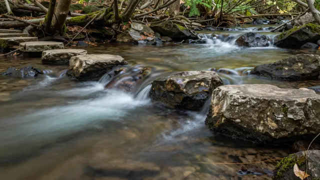 Long exposure shot of smooth flowing water crossing flat stepping stones in a wooded stream