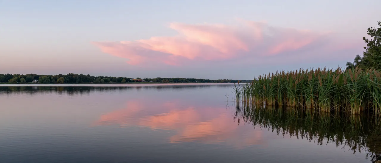 Calm still lake at dusk reflects pink clouds, with tall reeds along the right shoreline