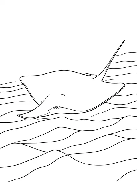 Black and white line drawing of a gliding stingray over rippled seabed sand on a plain white background