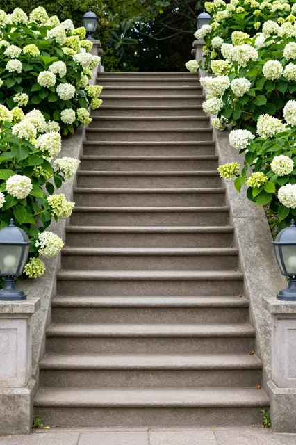 Old stone park stairs lined with white hydrangea bushes and vintage lamp posts leading into greenery