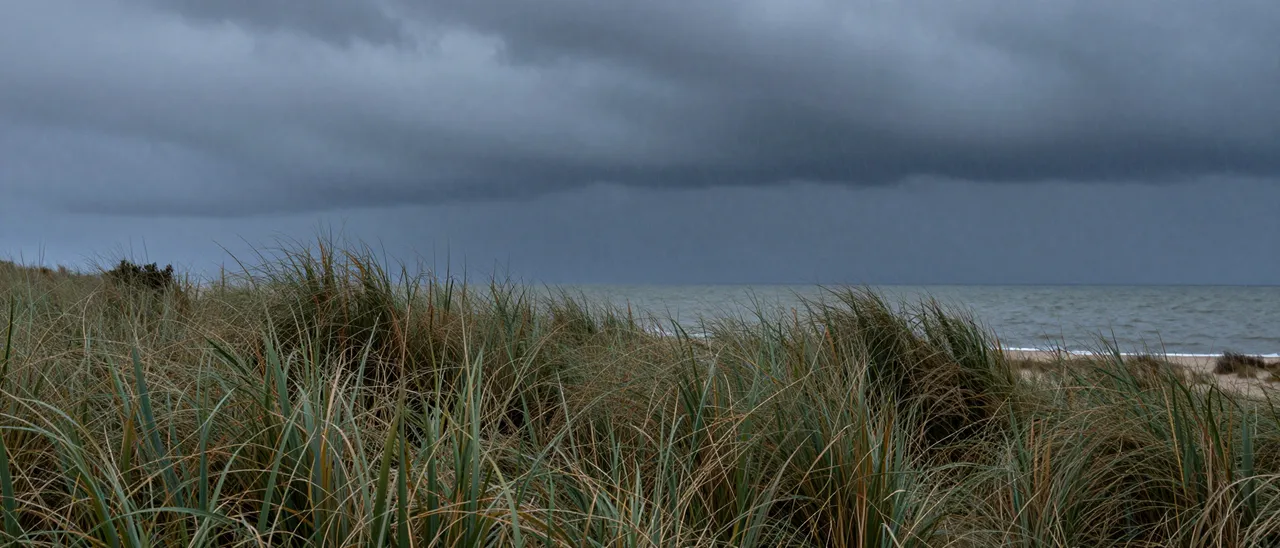 Lashing dune grass frames a gray stormy sea under heavy dark overcast skies