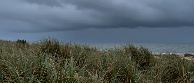 Lashing dune grass frames a gray stormy sea under heavy dark overcast skies