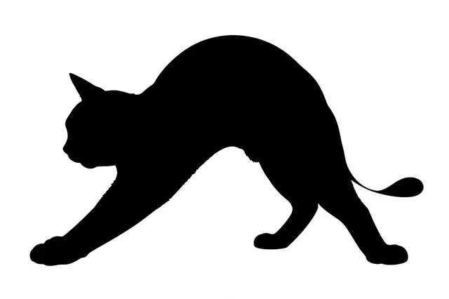Solid black silhouette of a stretching cat against a plain white background