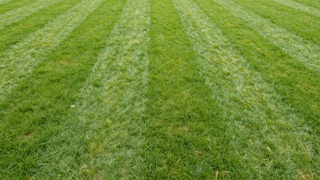 Top-down close-up of short cut grass with alternating light and dark mowing stripes filling the full frame