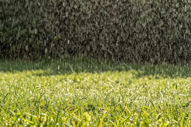 Falling rain droplets drift over bright, sunlit green grass blades glistening in daylight