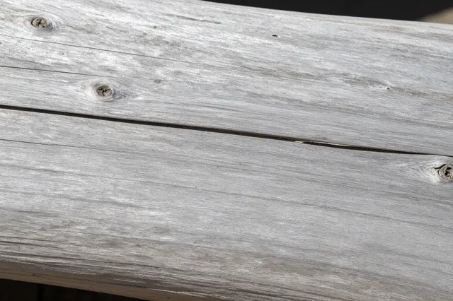 Close-up full frame view of pale sun-bleached weathered driftwood with visible grain and knots