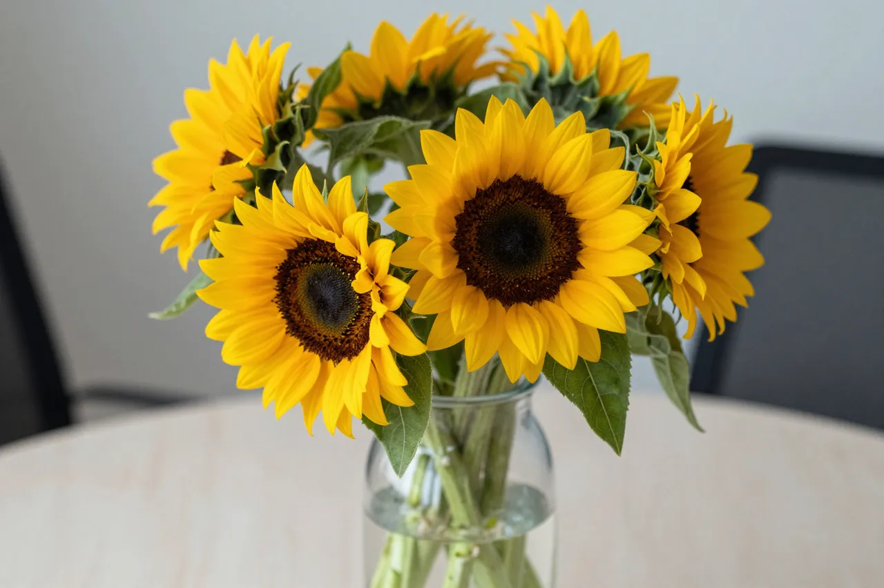 A bouquet of bright yellow sunflowers sits in a clear glass vase on a light wooden table