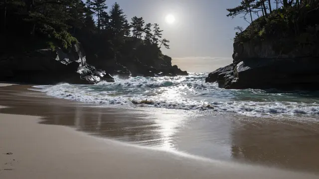 Bright overhead light reflects off wet sand and gentle surf between rocky pine-covered headlands on a secluded beach