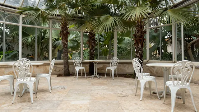 Empty glass conservatory interior with stone flooring, tall palm trees and white wrought iron seating
