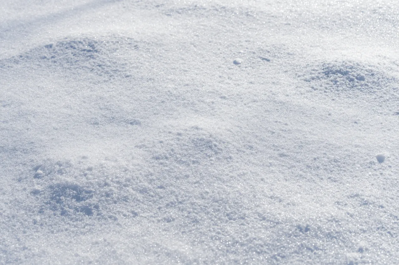 Sparkling fresh snow surface glistens under bright sunlight with soft subtle undulations