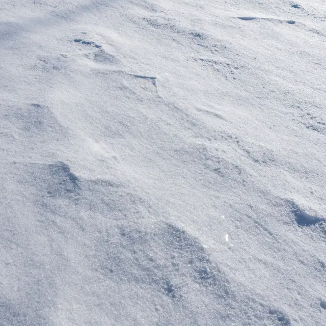 Full frame close-up of sun-crusted glistening snow with subtle uneven ridges and tiny bright glints