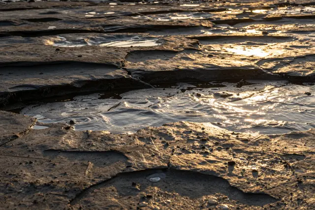 Golden sunset light glints off shallow tide pools across a cracked flat rocky shoreline