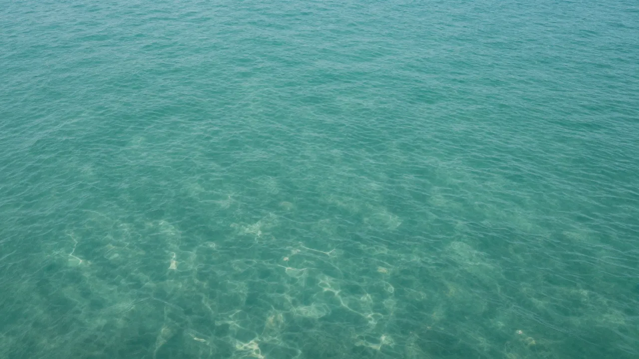 Top-down view of calm sunlit turquoise clear water with gentle ripples and light refraction patterns.