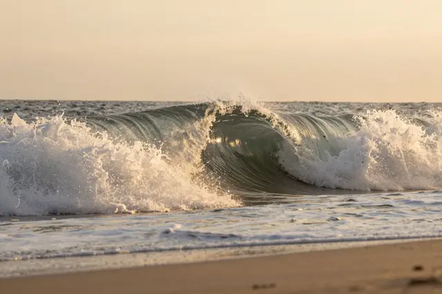 A curling breaking ocean wave catches golden sunset glow from a low beach angle above sand.