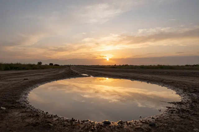 A large puddle on a dirt road reflects the warm golden and orange hues of a setting sun and cloudy sky.
