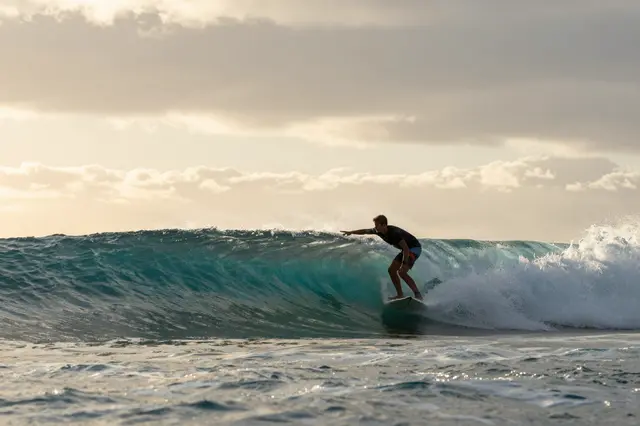 A surfer crouches on a surfboard riding a curling turquoise ocean wave under a golden sunset sky