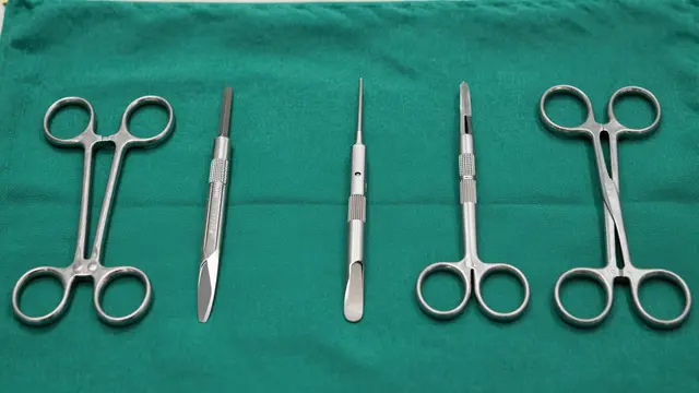Top view of stainless steel surgical tools arranged in a neat row on a textured green surgical drape.