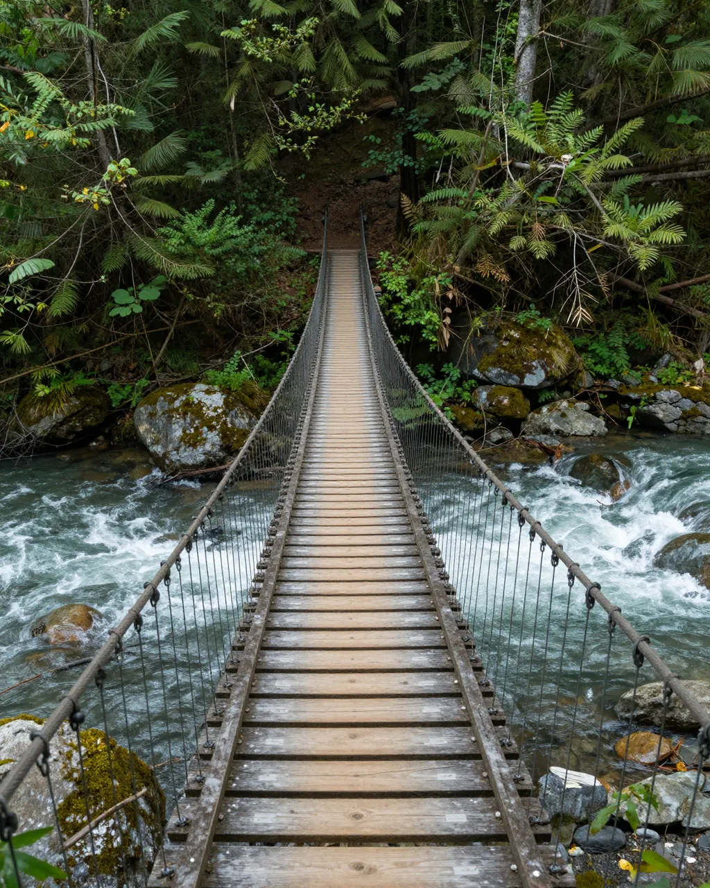Wooden suspension footbridge spans a rushing river through a dense green forest hiking trail