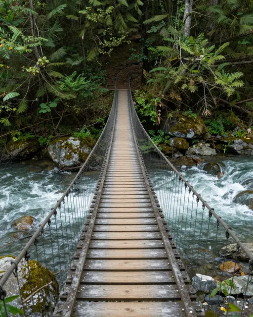 Wooden suspension footbridge spans a rushing river through a dense green forest hiking trail