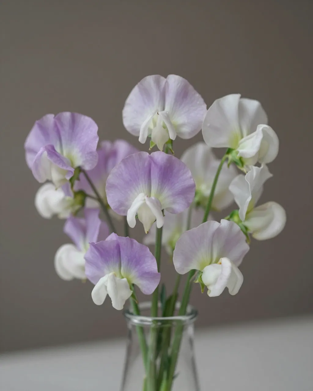 Delicate lilac and white sweet pea flowers arranged in a small clear glass vase against a muted neutral background