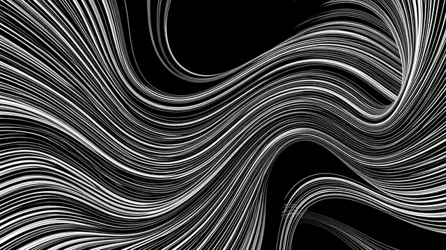Abstract flowing thin white and gray lines curve and swirl across a solid black background