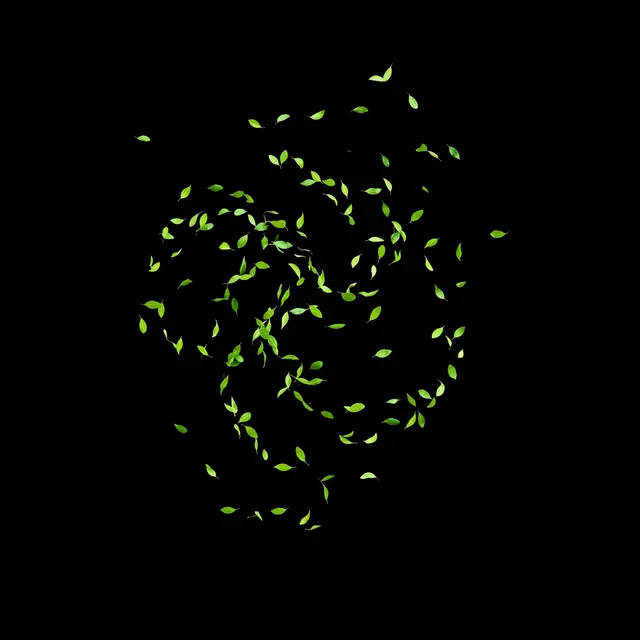 Small bright green leaves swirl and float against a solid pure black background