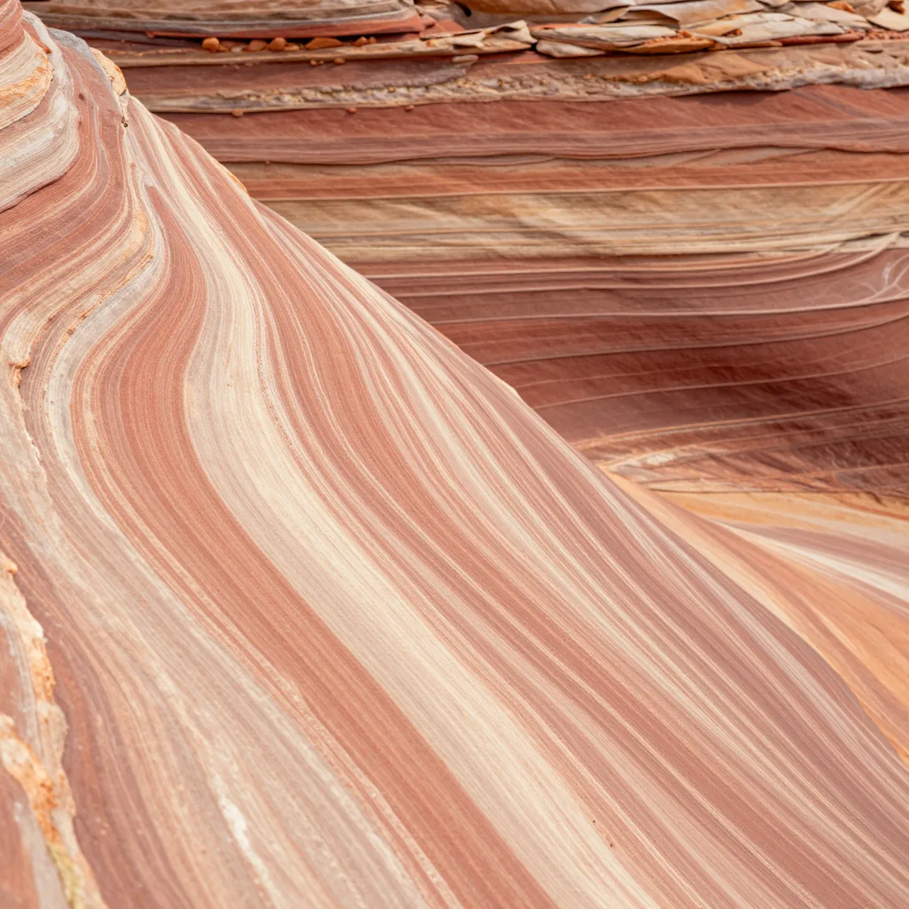 Close-up view of smooth swirling layered red and cream sandstone rock formations
