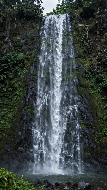 A tall cascading waterfall flows down a mossy dark rock face surrounded by dense lush jungle vegetation.