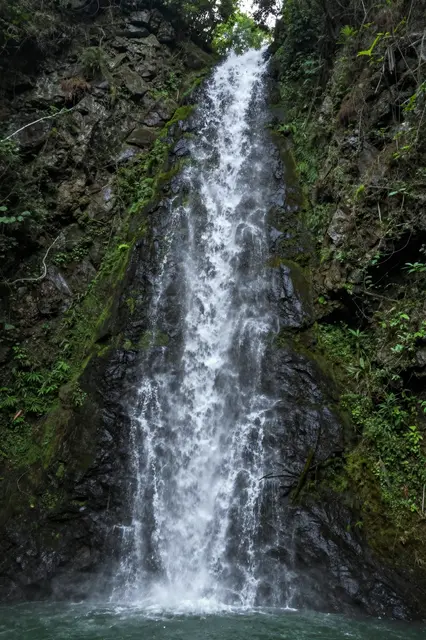 A tall rushing waterfall cascades down a mossy rocky cliff into a green forested gorge pool.