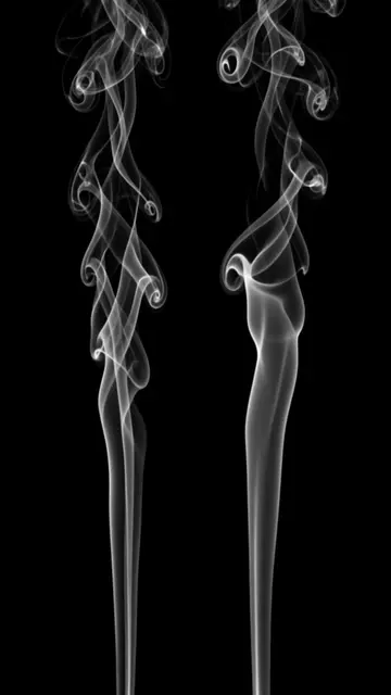 Two vertical columns of delicate translucent white smoke twist upward against a solid pure black background