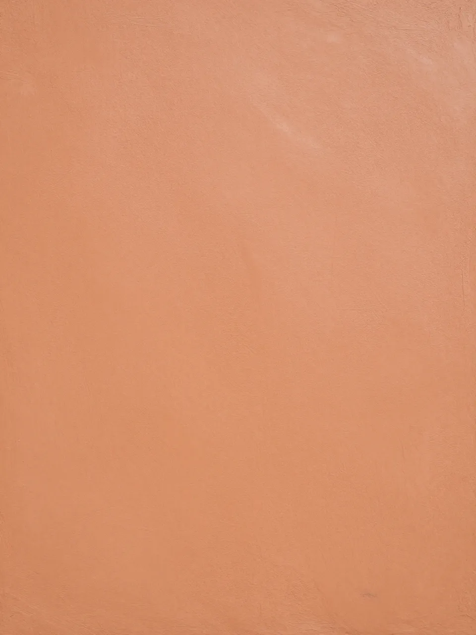 Full frame view of matte hand-smoothed terracotta clay plaster surface with even flat lighting