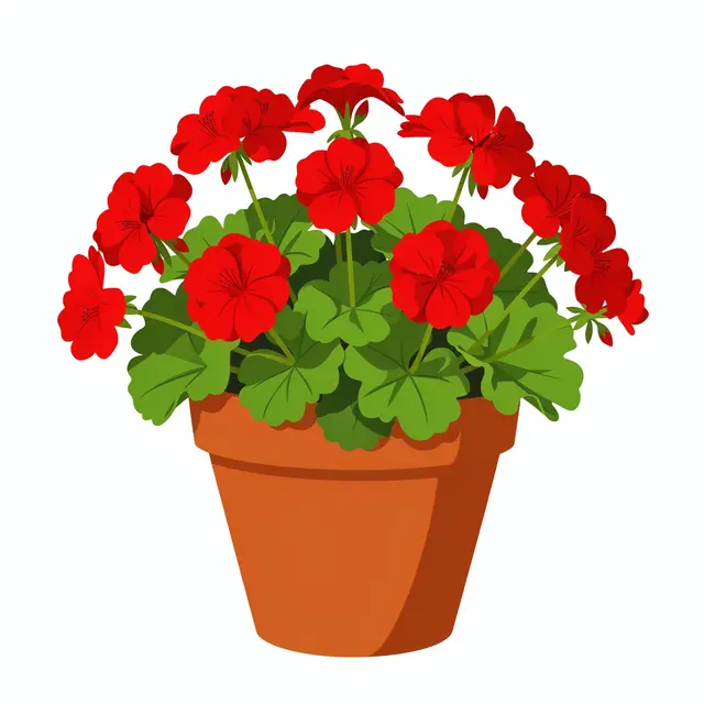 Flat illustration of a terracotta flower pot overflowing with bright red geraniums on a white background