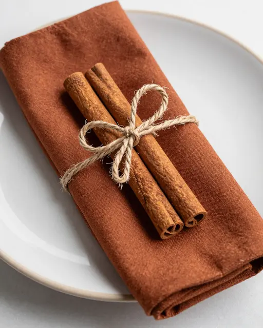 Two cinnamon sticks tied with twine rest on a folded rust napkin atop a light stoneware plate