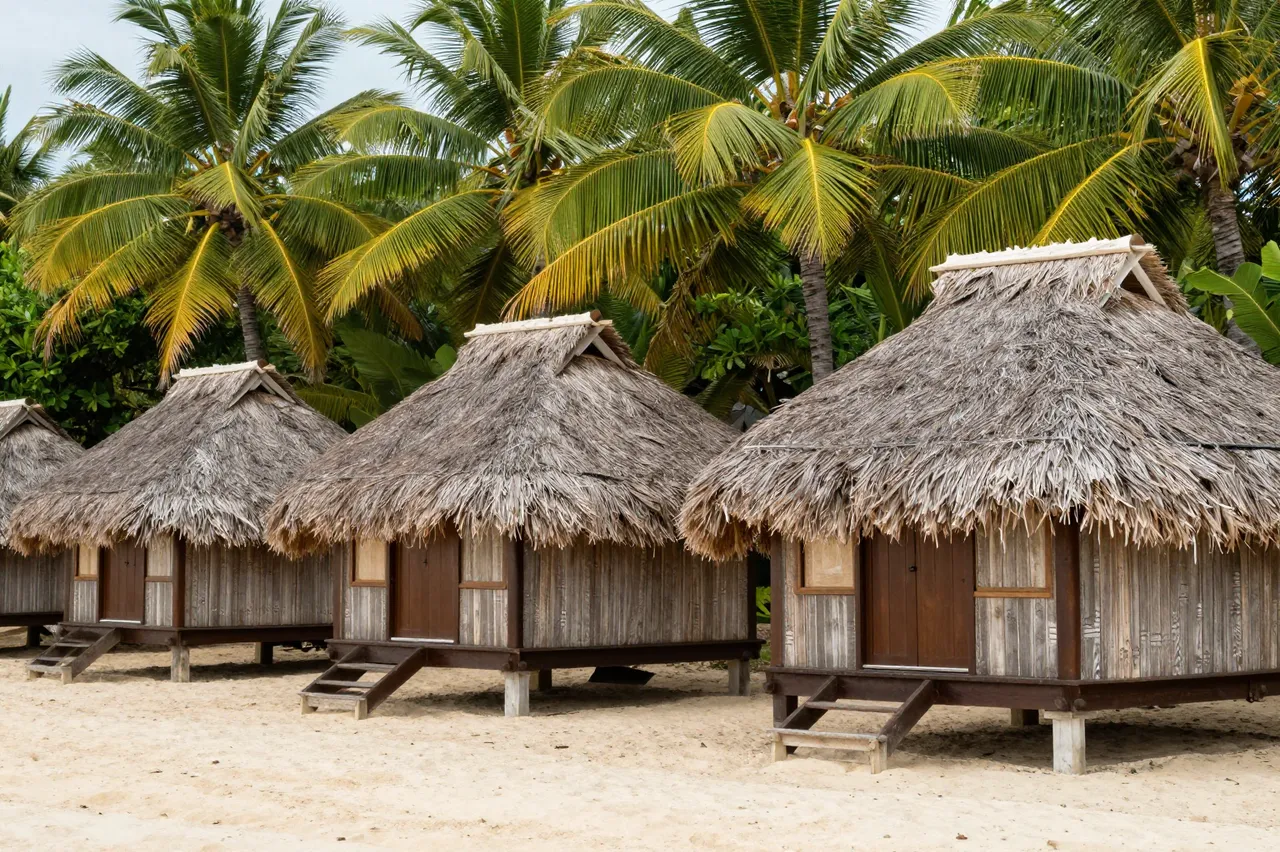 Row of elevated thatched beach huts on sand beneath tall coconut palm trees