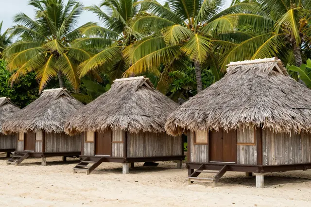 Row of elevated thatched beach huts on sand beneath tall coconut palm trees