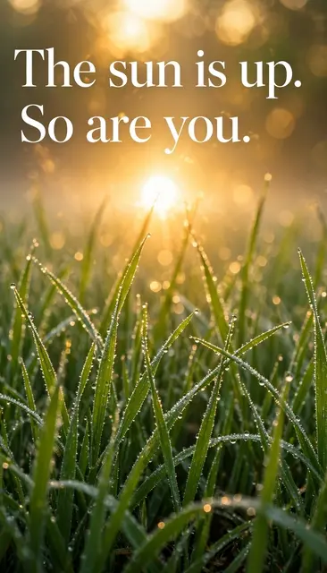 Dew-covered green grass glows in low golden sunrise light with the text "The sun is up. So are you." overlaid in white serif