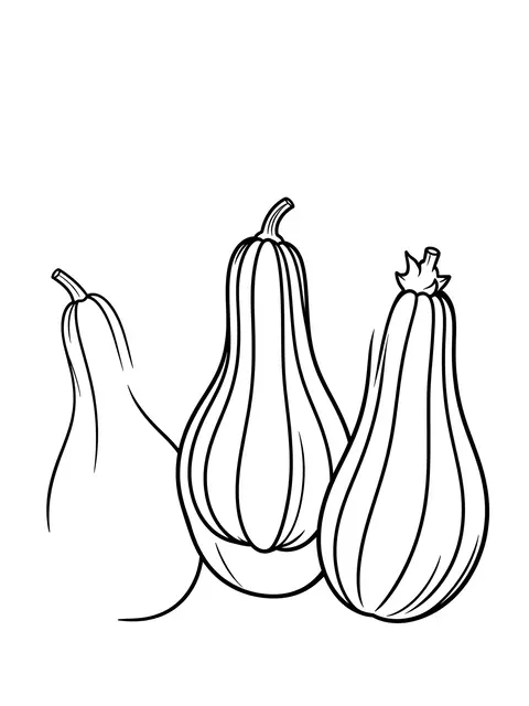 Black and white bold line art of three differently shaped gourds on a plain white background for coloring