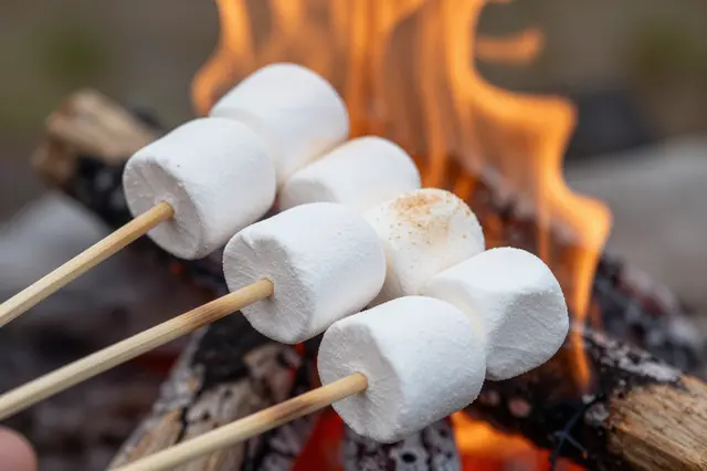 Marshmallows skewered on wooden sticks are held over glowing campfire flames to toast.